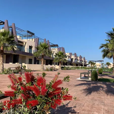 Higuericas 411 - Planta Baja - Vista Piscina - Cerca Playa Apartment Pilar de la Horadada Exterior photo
